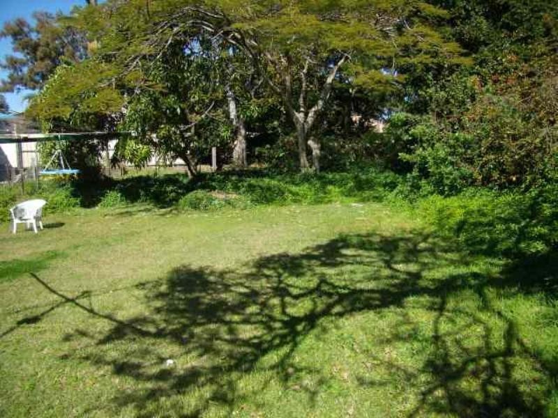 14 Claremont Street, Birkdale QLD 4159