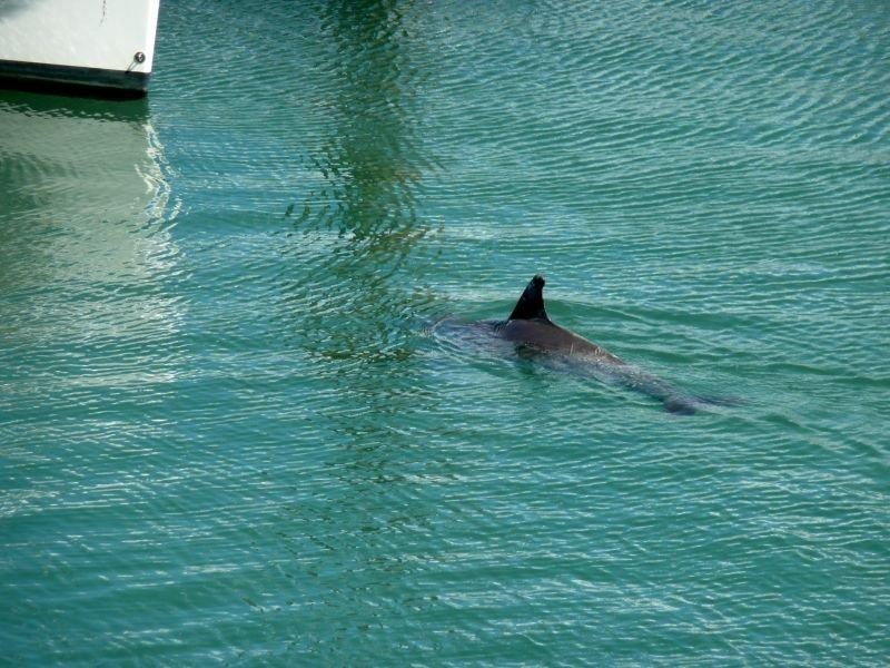 11/13 Esperance Court, Raby Bay QLD 4163