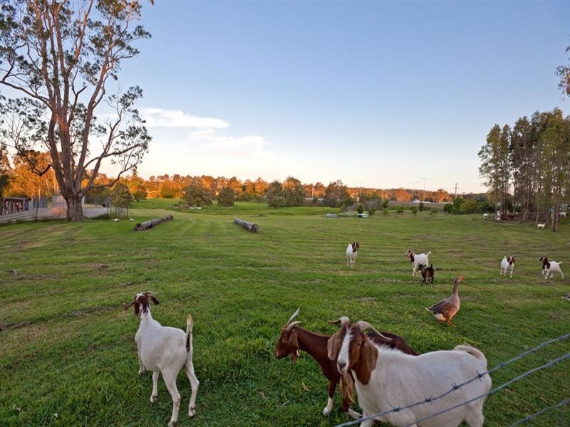 126 Waterford-Tamborine Road, Waterford QLD 4133