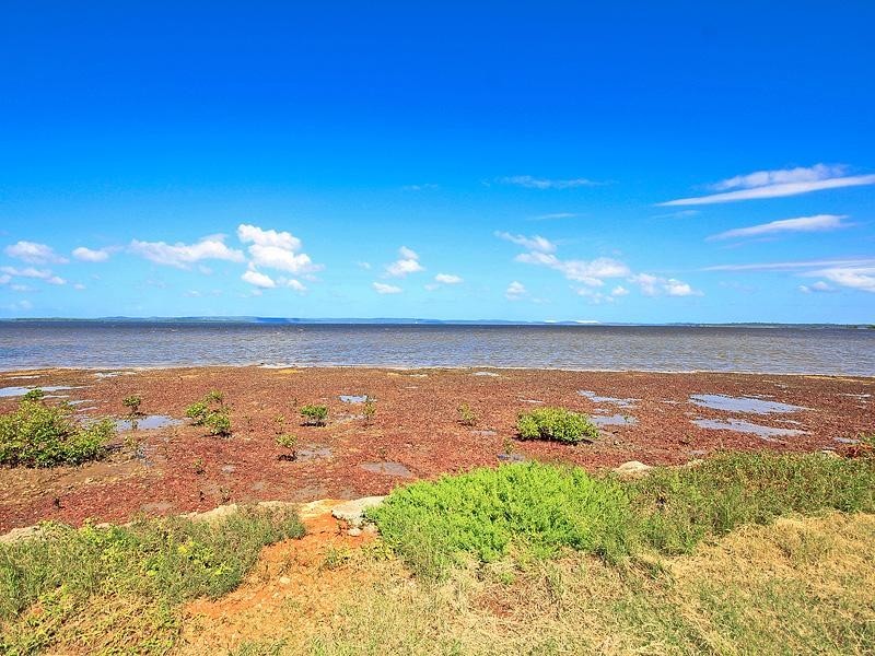 137 Shore Street North, Cleveland QLD 4163