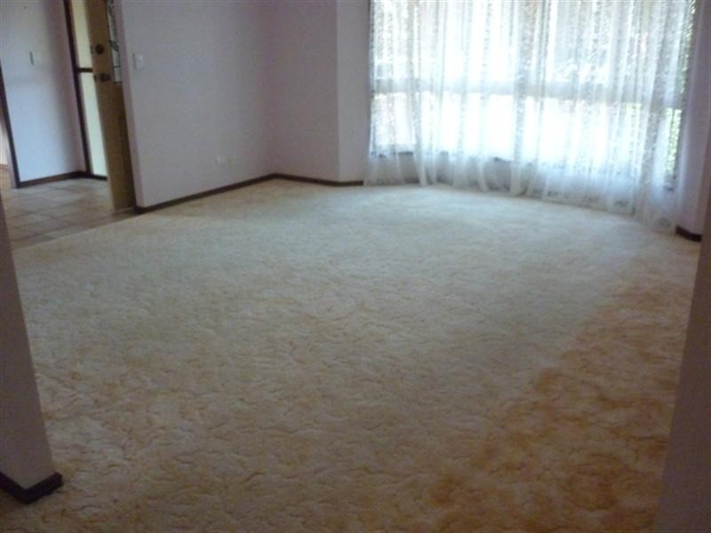 45 Moselle Drive, Thornlands QLD 4164