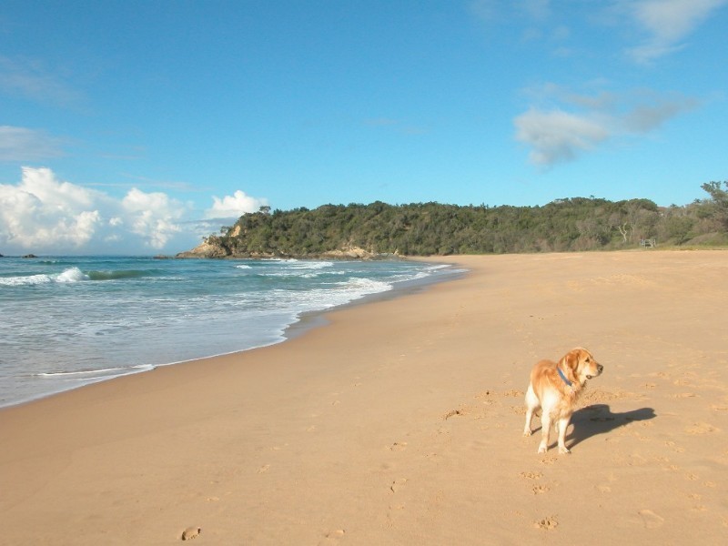 Sapphire Beach NSW 2450