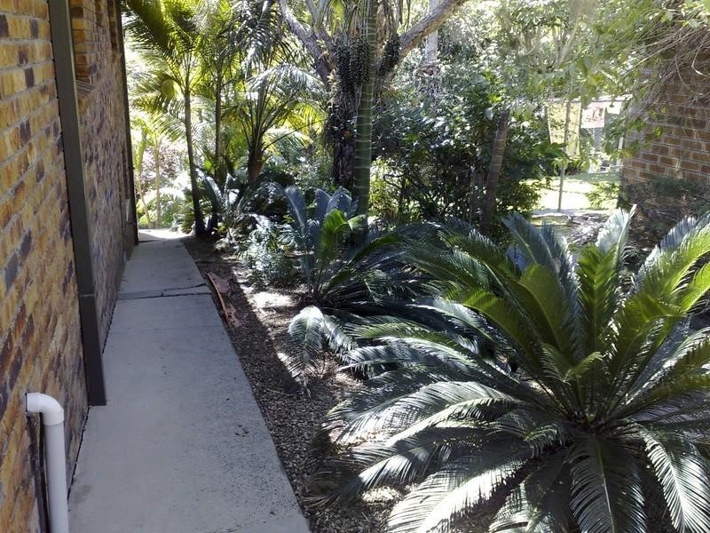 84 Sawtell Road, Toormina NSW 2452