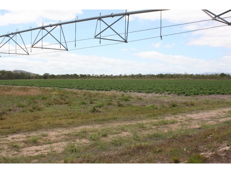 5 Frances Street, Coffs Harbour NSW 2450