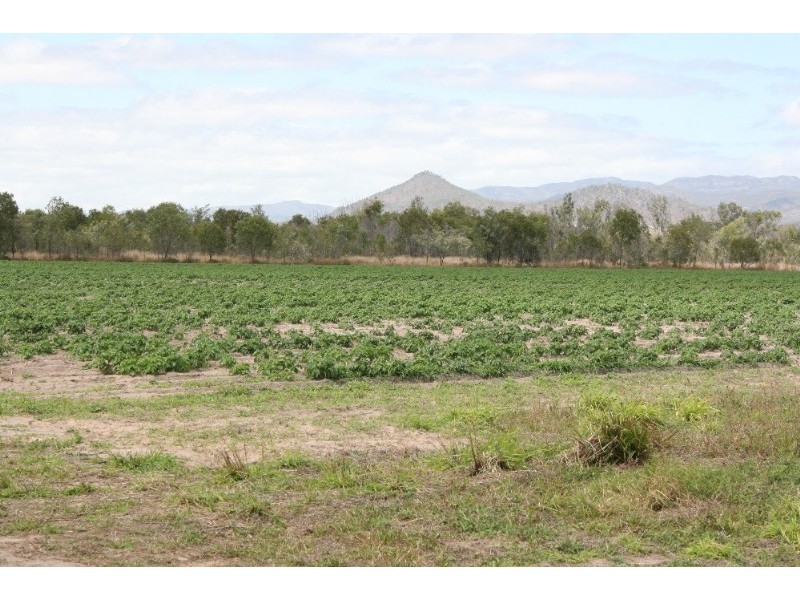 5 Frances Street, Coffs Harbour NSW 2450