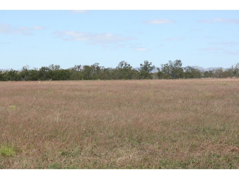 5 Frances Street, Coffs Harbour NSW 2450