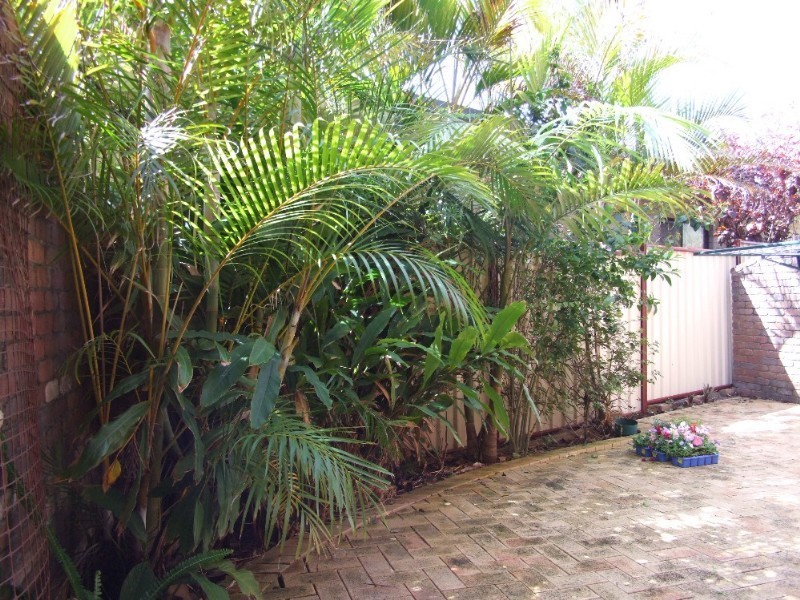 5/113 Fiddaman Road, Emerald Beach NSW 2456