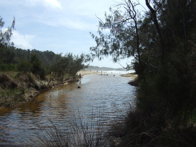 5/113 Fiddaman Road, Emerald Beach NSW 2456