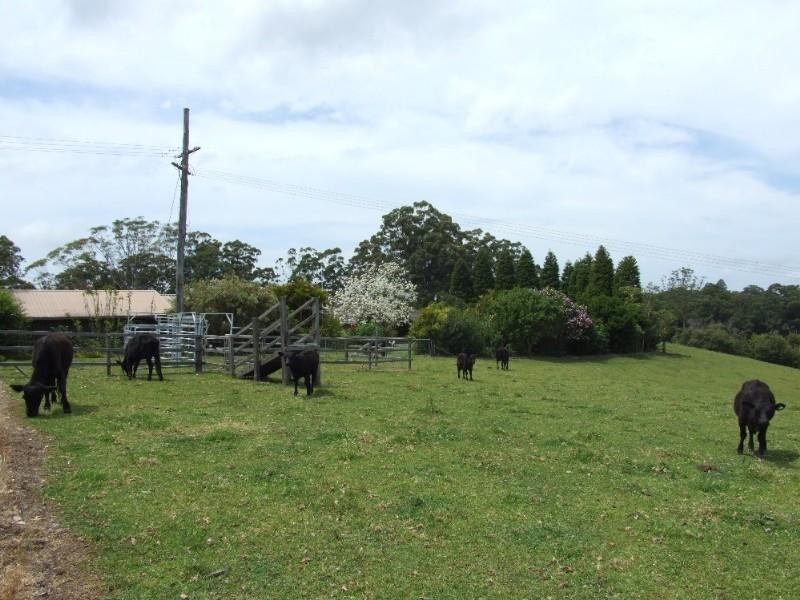 239 North Bonville Road, Bonville NSW 2441