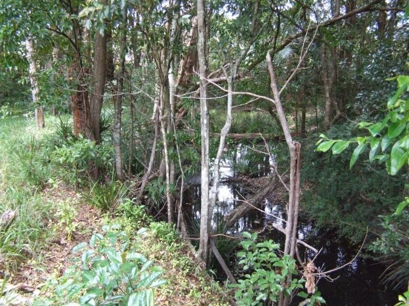 239 North Bonville Road, Bonville NSW 2441