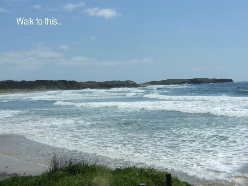 20 Ocean View Crescent, Emerald Beach NSW 2456