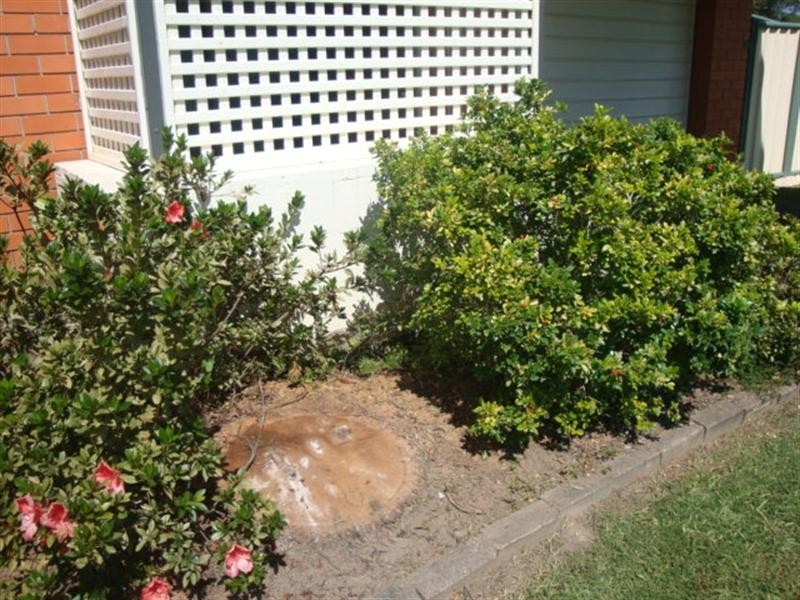 4 Collice Place, Coffs Harbour NSW 2450