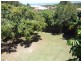 48 Dammerel Crescent, Emerald Beach NSW 2456
