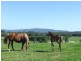0 Mardells Road, Coffs Harbour NSW 2450