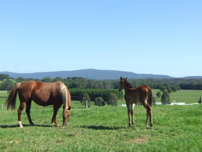 0 Mardells Road, Coffs Harbour NSW 2450