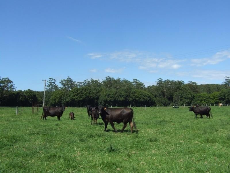 0 Mardells Road, Coffs Harbour NSW 2450