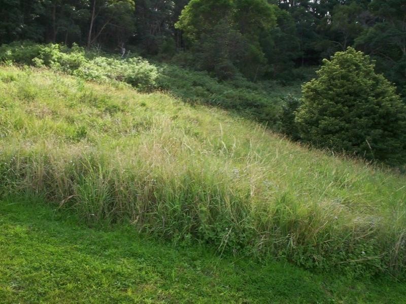 Lot 103 Gallagher Place, Coffs Harbour NSW 2450