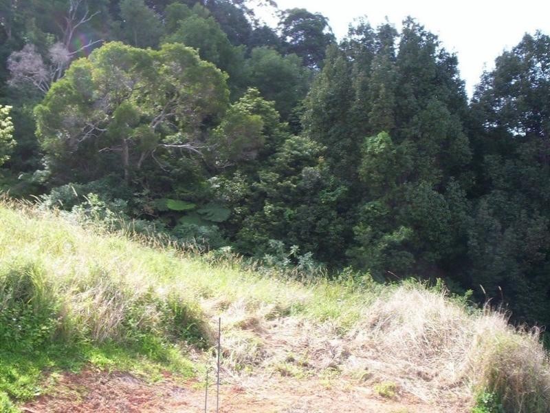 Lot 103 Gallagher Place, Coffs Harbour NSW 2450