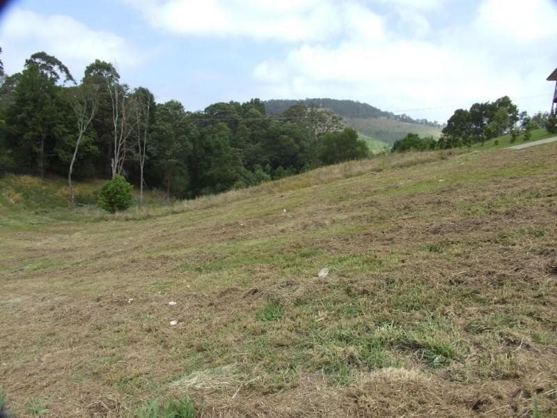 7 Tuckeroo Close, Coffs Harbour NSW 2450