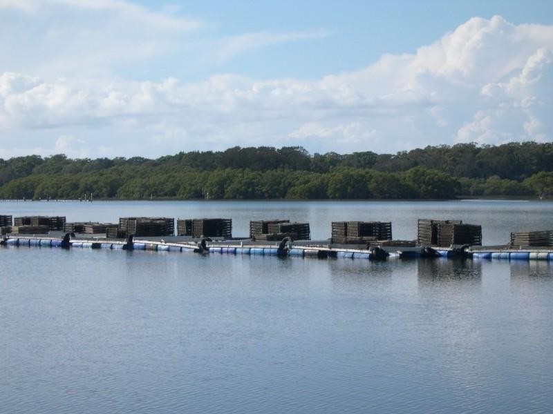 Oyster 1 Pacific Highway, Nambucca Heads NSW 2448