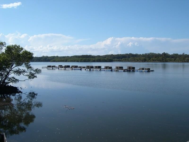 Oyster 1 Pacific Highway, Nambucca Heads NSW 2448