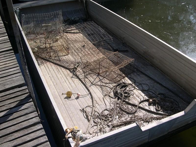 Oyster 1 Pacific Highway, Nambucca Heads NSW 2448