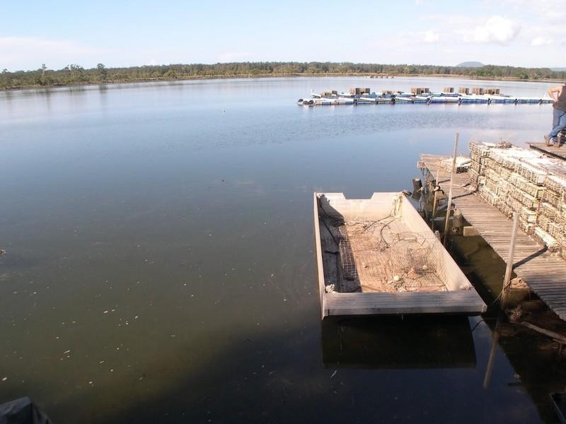 Oyster 1 Pacific Highway, Nambucca Heads NSW 2448