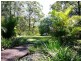 2749 Waterfall Way, Bellingen NSW 2454