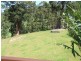 2749 Waterfall Way, Bellingen NSW 2454