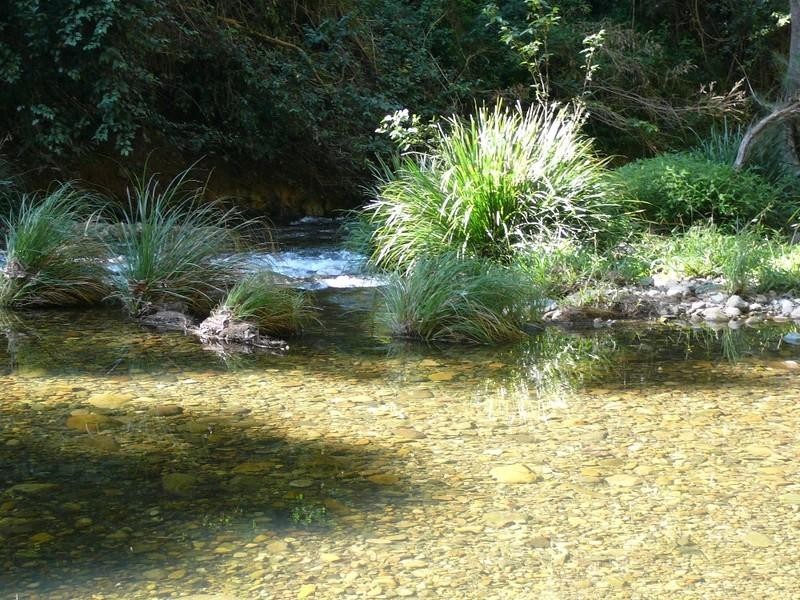 2749 Waterfall Way, Bellingen NSW 2454