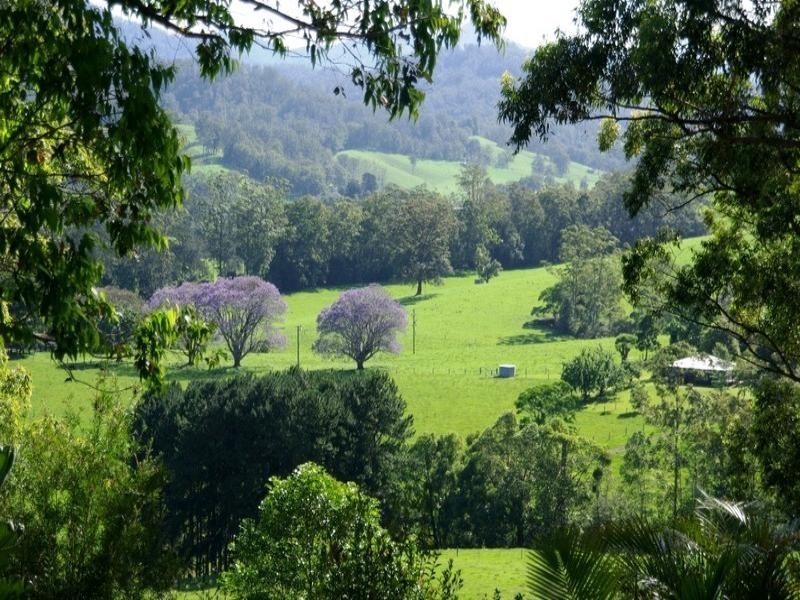 2749 Waterfall Way, Bellingen NSW 2454