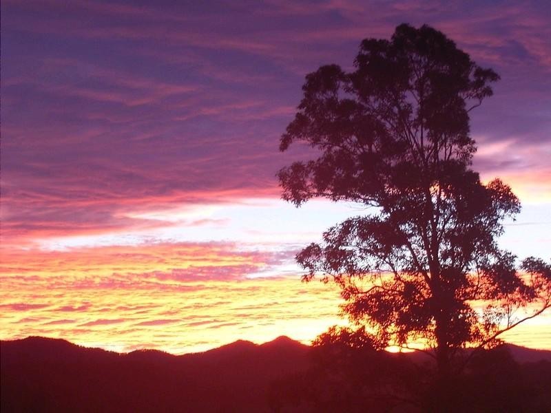 2749 Waterfall Way, Bellingen NSW 2454