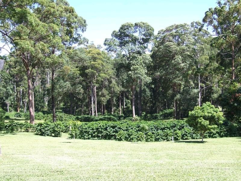 171 Johnsons Road, Sandy Beach NSW 2456