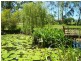 105 Old Bucca Road, Moonee Beach NSW 2450