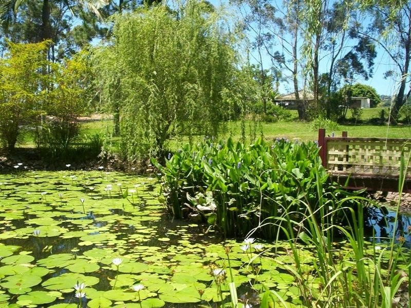 105 Old Bucca Road, Moonee Beach NSW 2450