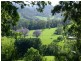 2749 Waterfall Way, Bellingen NSW 2454