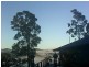 2749 Waterfall Way, Bellingen NSW 2454