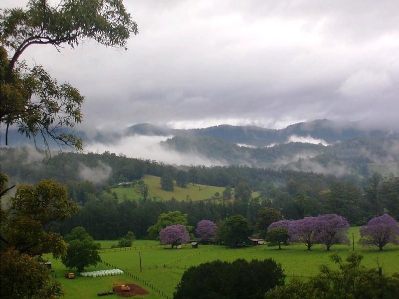 2749 Waterfall Way, Bellingen NSW 2454