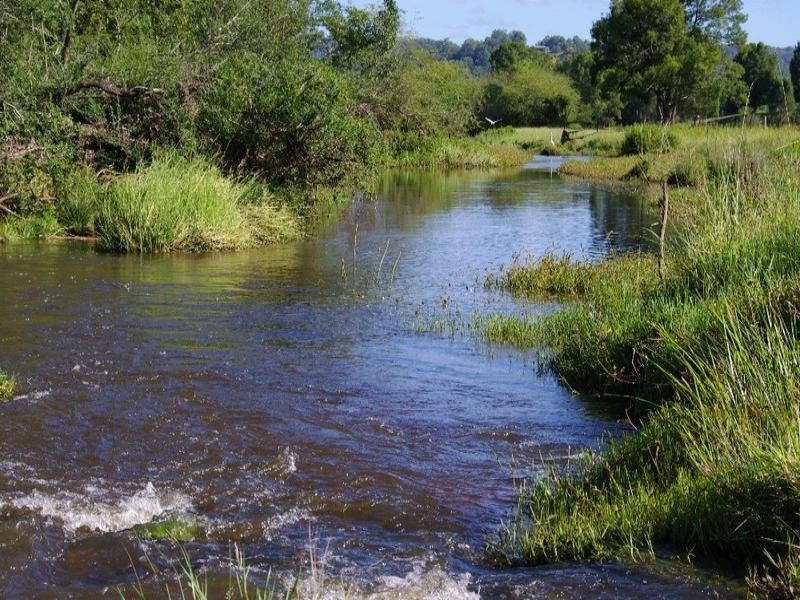 197 Northbank Road, Bellingen NSW 2454