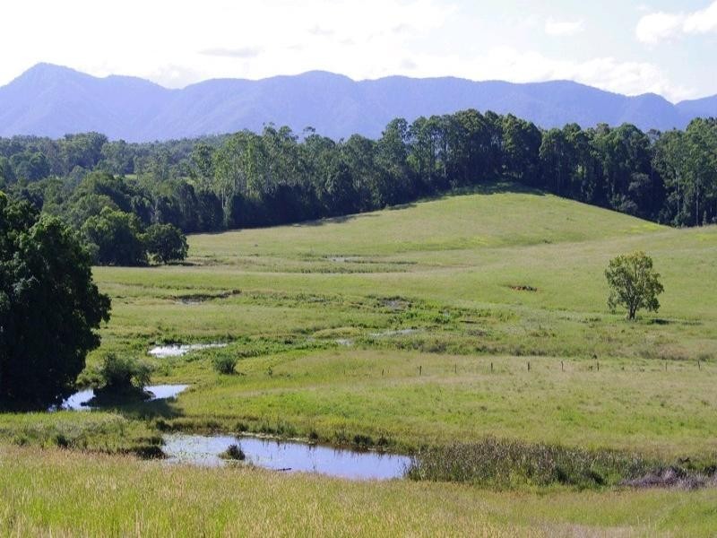197 Northbank Road, Bellingen NSW 2454