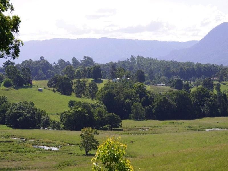 197 Northbank Road, Bellingen NSW 2454