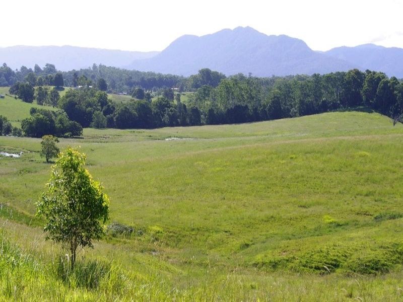 197 Northbank Road, Bellingen NSW 2454