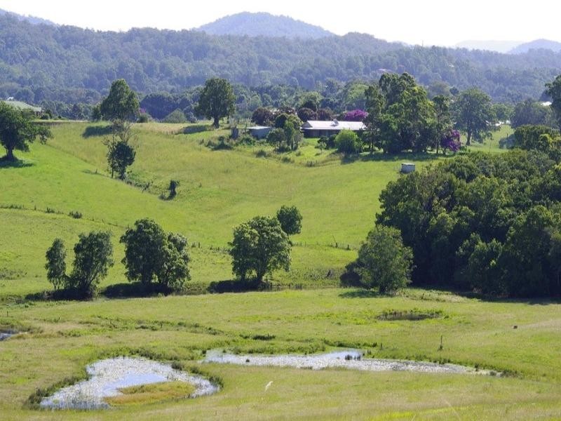 197 Northbank Road, Bellingen NSW 2454