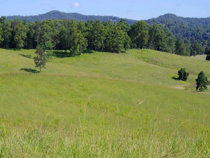 197 Northbank Road, Bellingen NSW 2454