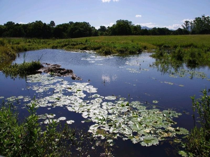 197 Northbank Road, Bellingen NSW 2454