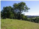 197 Northbank Road, Bellingen NSW 2454