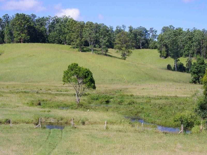 197 Northbank Road, Bellingen NSW 2454