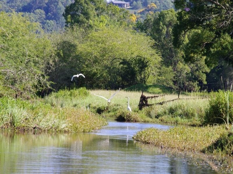 197 Northbank Road, Bellingen NSW 2454