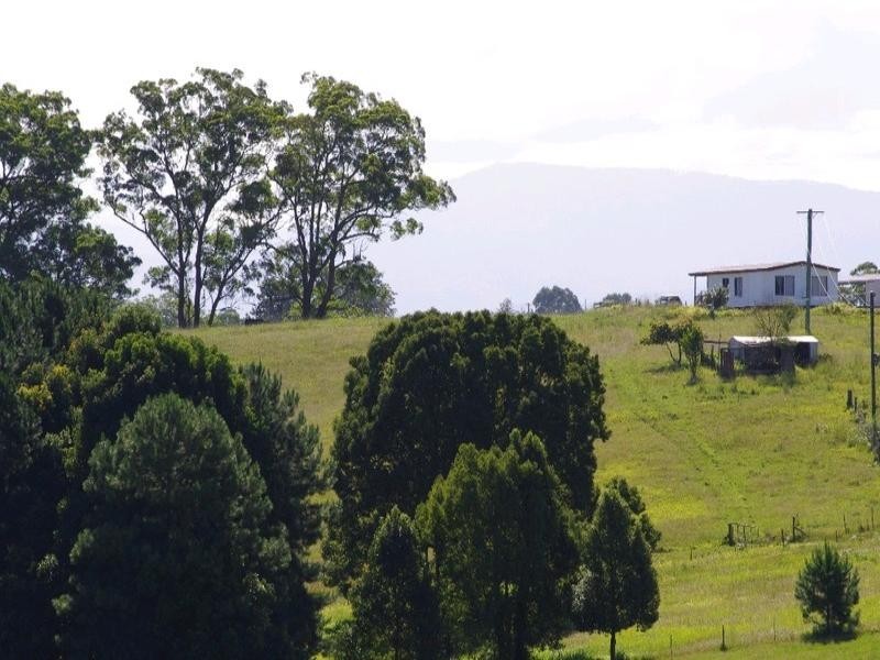 197 Northbank Road, Bellingen NSW 2454