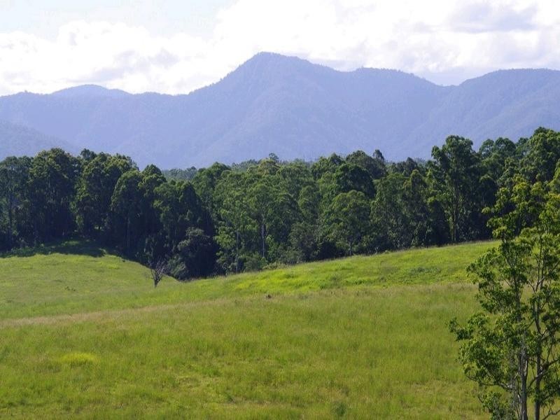 197 Northbank Road, Bellingen NSW 2454